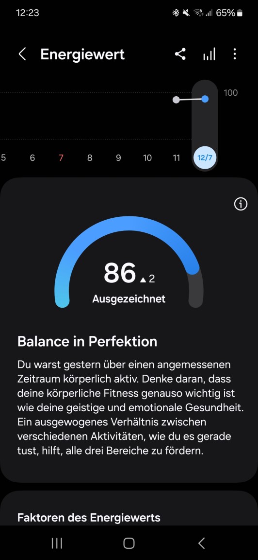 Screenshot der Samsung Health-App. Dort ist die Anzeige des Energiewertes zu sehen.
