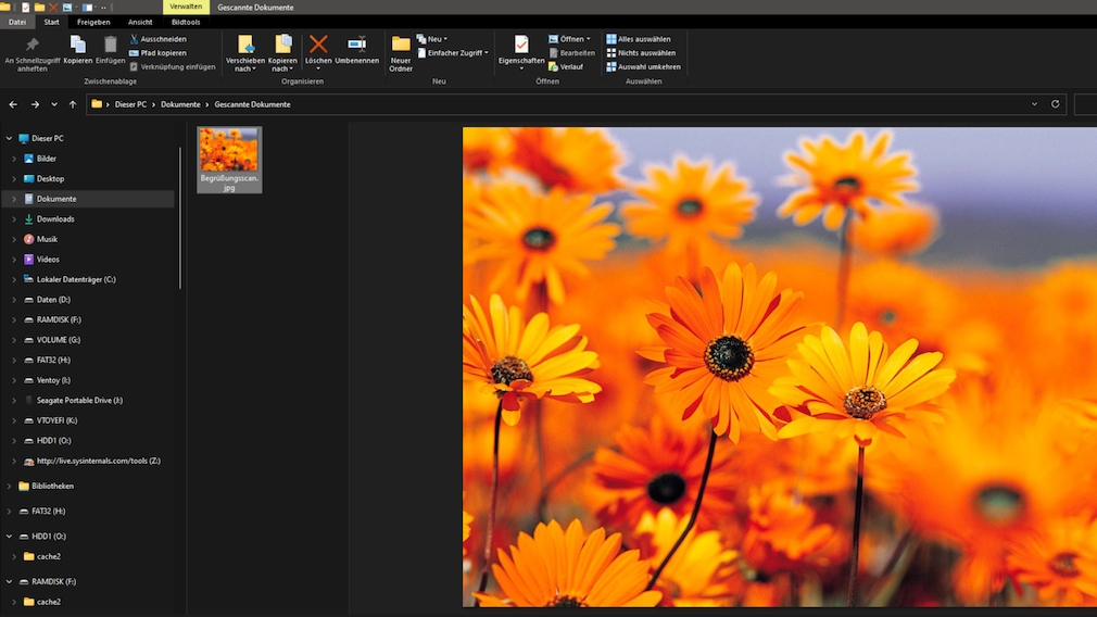Beautiful flowers wallpapers for desktop