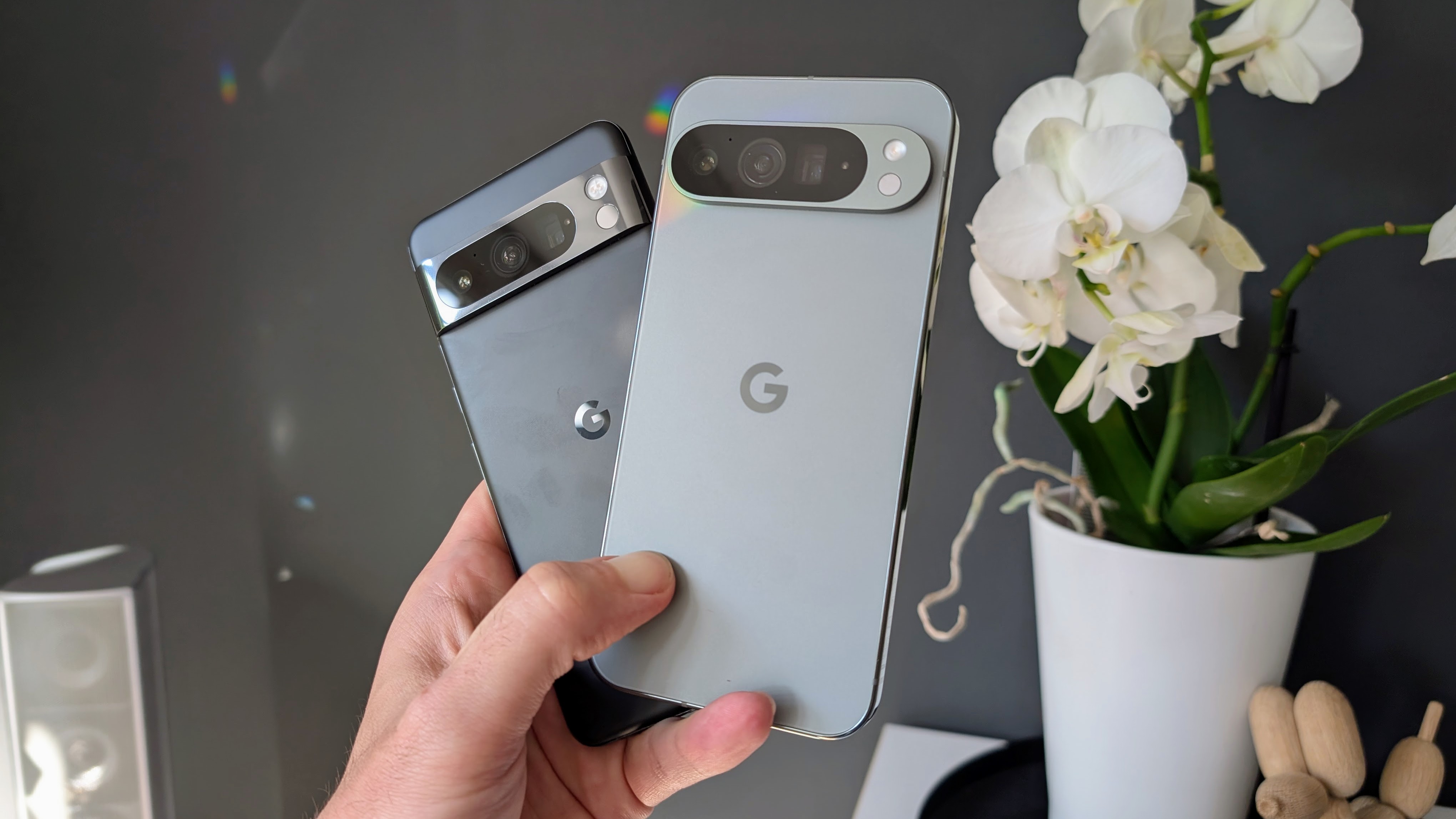 Google-Pixel-8-Pro-und-Pixel-9-Pro-XL-im-Vergleich-Foto-Profis-unter-sich