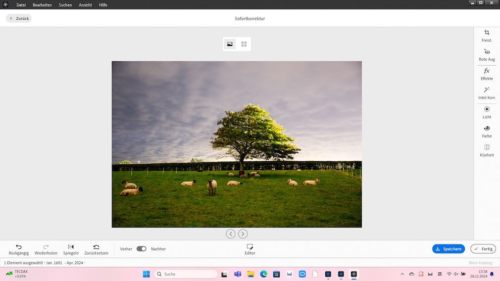 Adobe Elements 2025 Test der Bildbearbeitungssoftware
