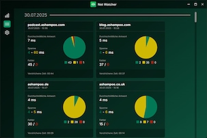 Screenshot aus Ashampoo Net Watcher