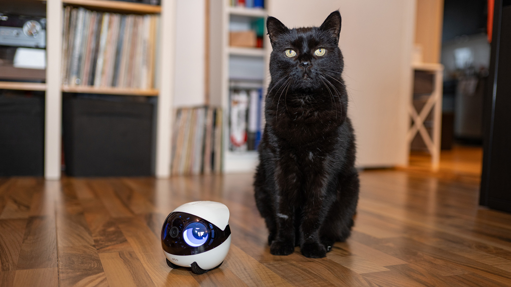 Mehr als digitale Kulleraugen? Enabot Ebo Air 2 Plus im Praxis-Test