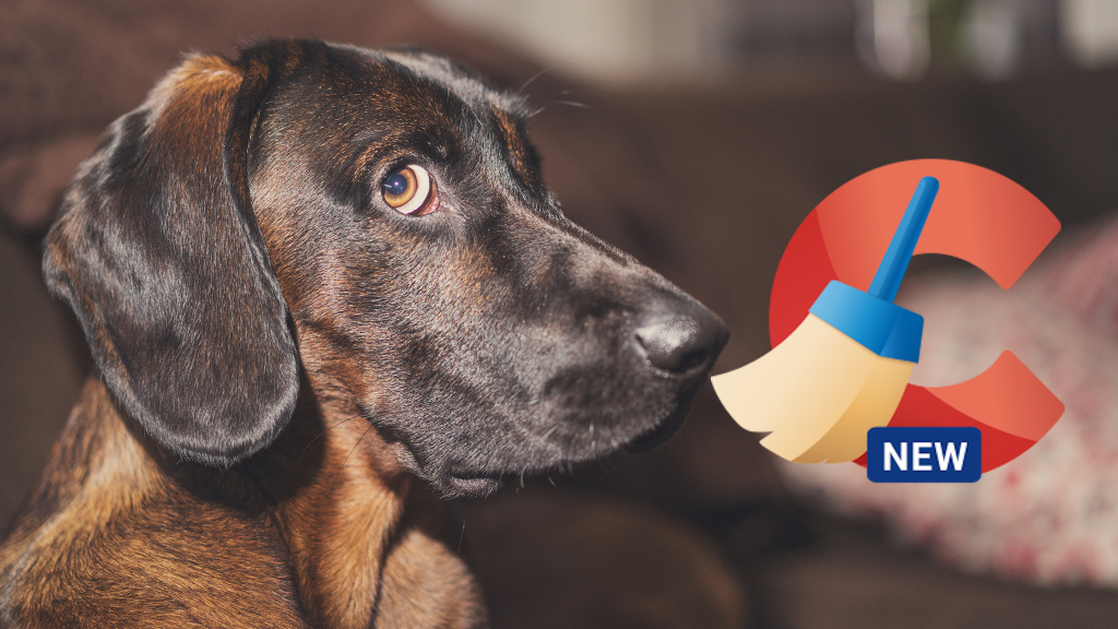 CCleaner: Werbung in dem Programm – so deaktivieren Sie sie