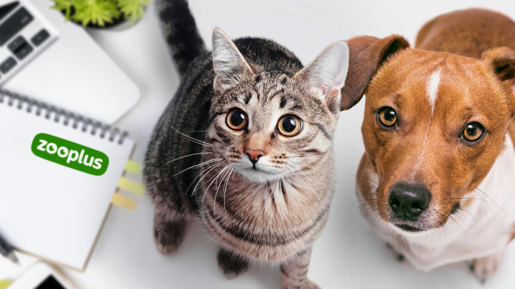 Zooplus-Gutscheine und Rabattcodes