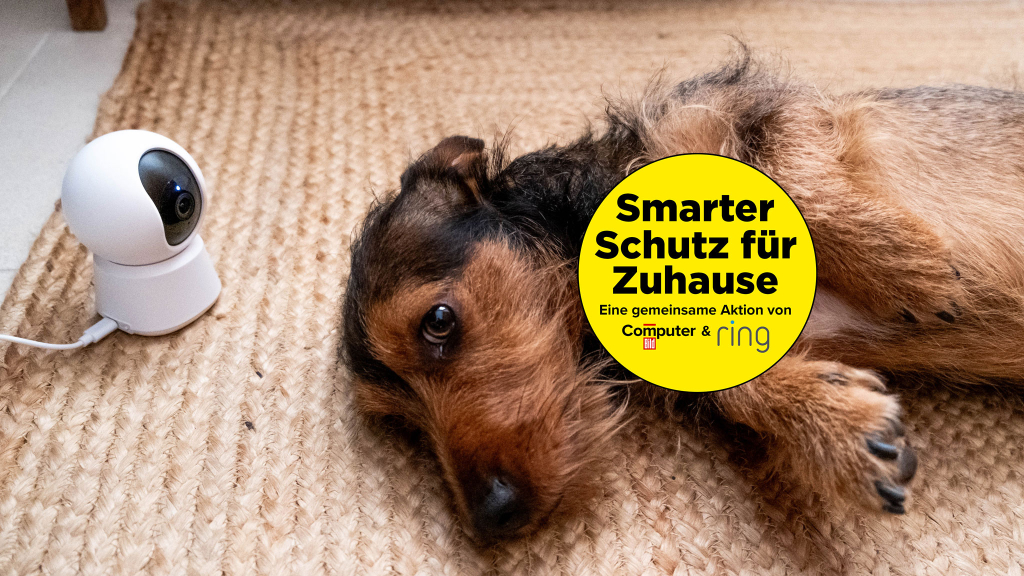 Haustiere und Sicherheit: Hund und Katze im Smart Home
