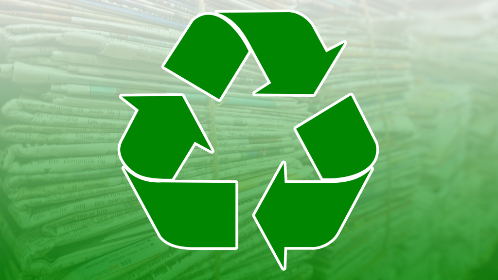 SSD-Datenrettung: Gelöschte Dateien von einer SSD retten