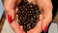 Kaffeebohnen in der Hand