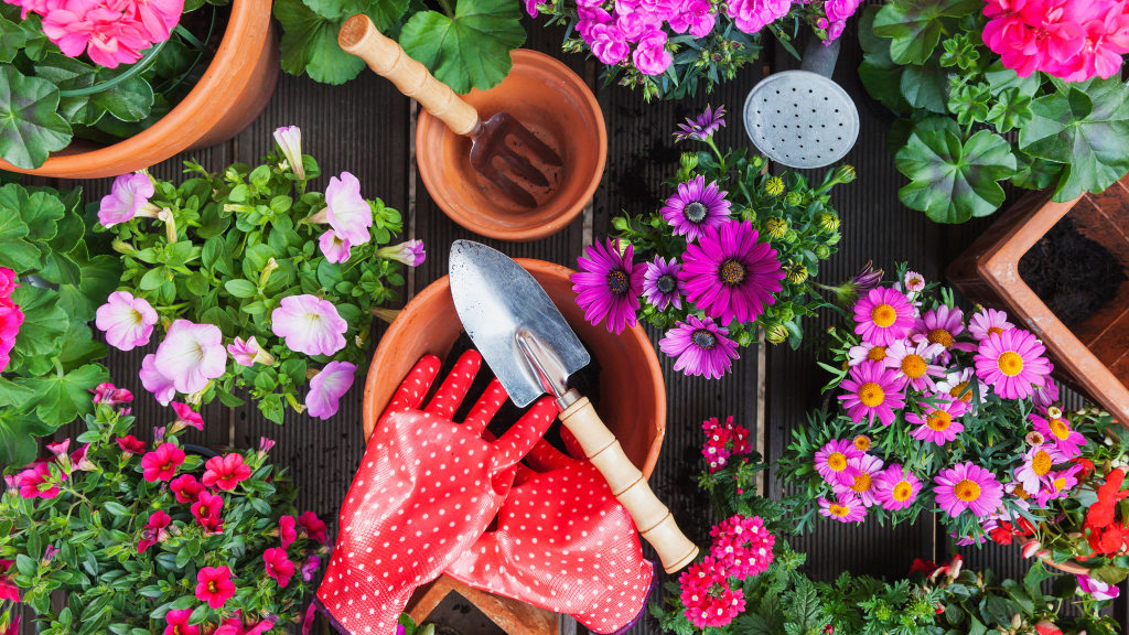 Schonzeit startet ab 1. März: Welche Gartenarbeiten Sie jetzt noch erledigen sollten