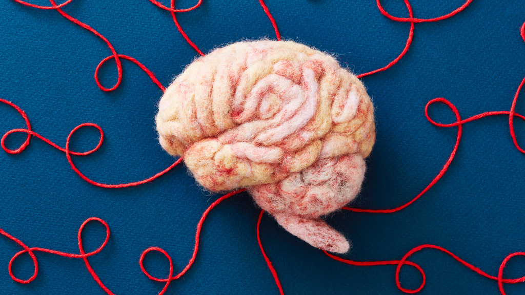 Forscher warnen: "Brain Rot" auf TikTok, Instagram & Co. ist real und schädlich