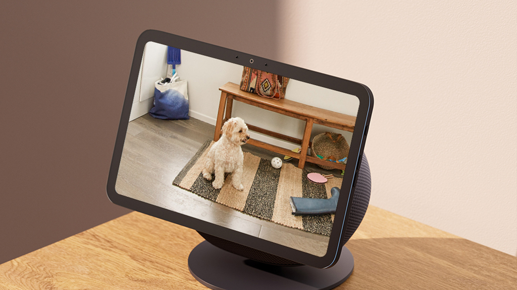 Amazon verlangt 2,99 US-Dollar für Echo-Show-Fotos