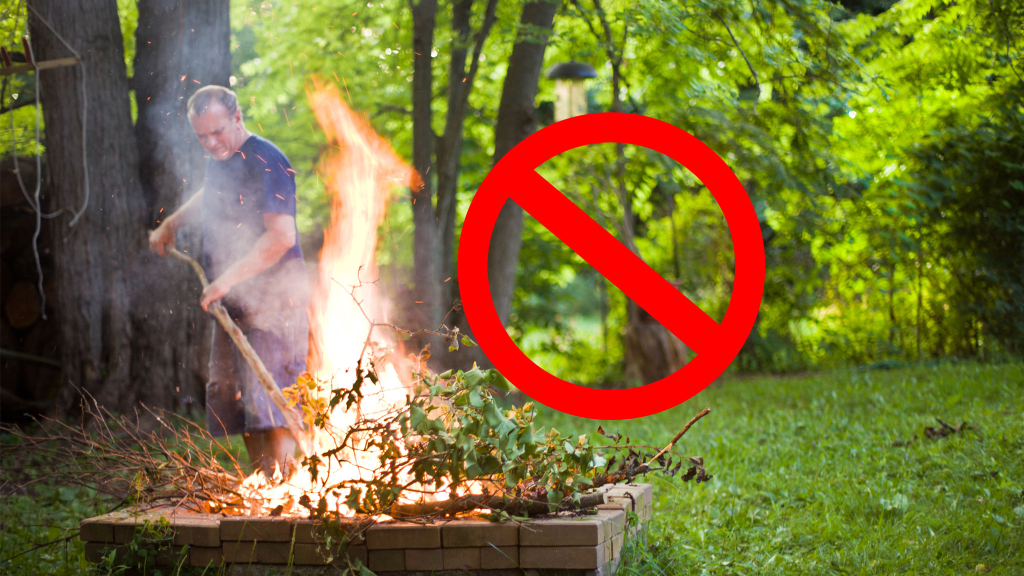 Wichtig für Hobbygärtner: Diese Gartenarbeit ist nur noch bis 31. März erlaubt