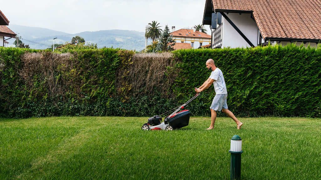 Rasenmähen zur falschen Zeit: Was per Gesetz erlaubt ist – und was nicht