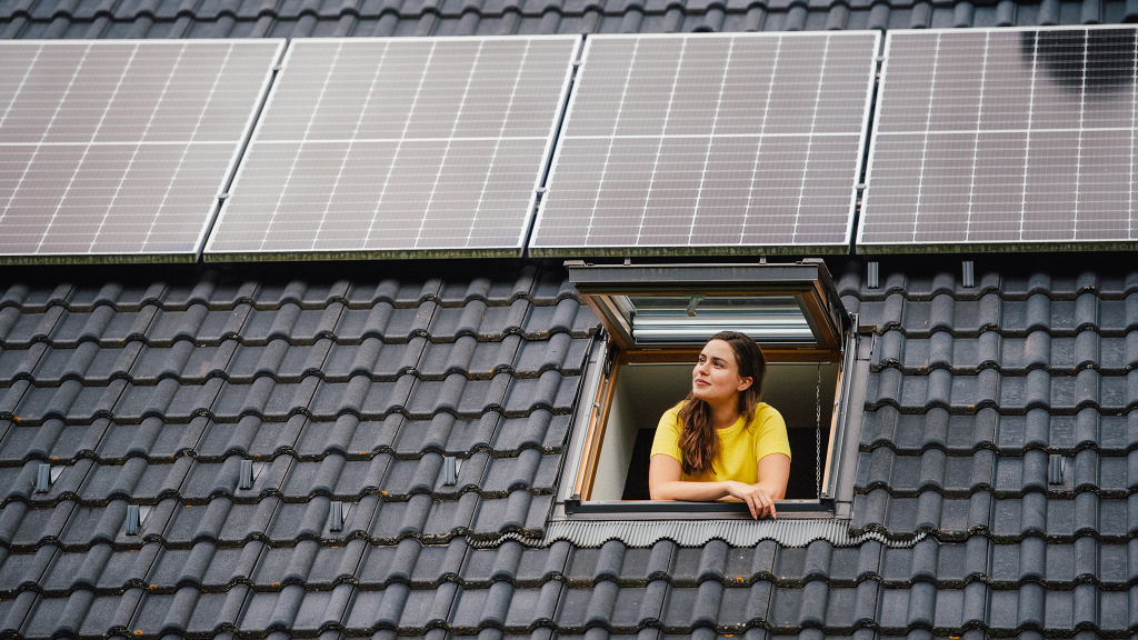 Solaranlage gegen Baum: Gericht entscheidet zugunsten des Naturschutzes
