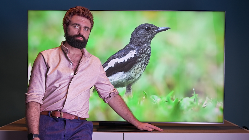 Pc Mini Led Screen TCL C8L: Günstiger Mini-LED schlägt Top-OLED bei Helligkeit - COMPUTER BILD