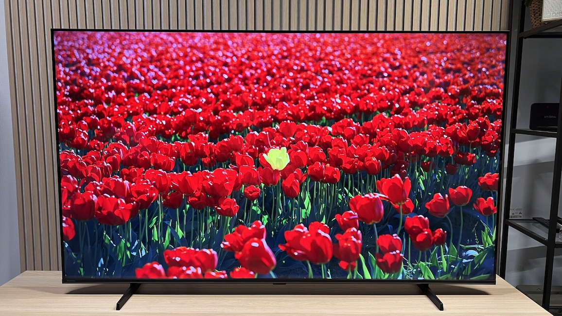 Ob die Blumenwiese auf dem 65E7S auch ohne Quantum Dots so farbenfroh wäre?