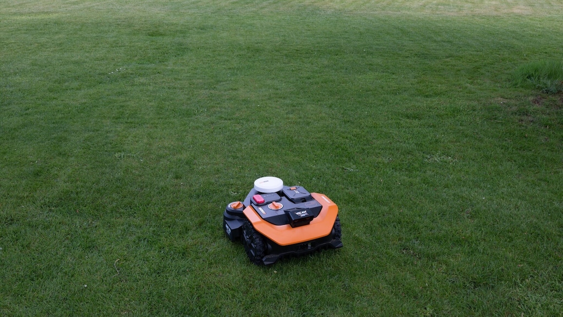 Mähroboter steht auf großer Rasenfläche.