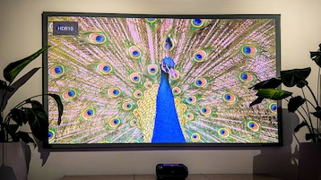Elitescreens CLR-Rahmeinleinwand im Praxis-Test: Gelingt der Aufbau jedem?