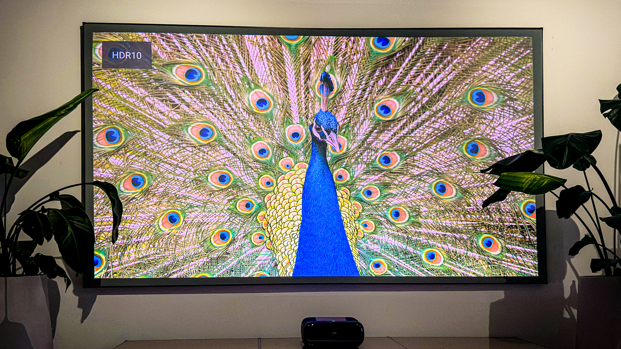Yesting Icon CLR-Rahmenleinwand 120 Zoll im Test: Aufbau, Montage und Qualität ...