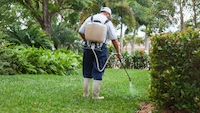 Person sprüht Unkrautvernichter in einem Garten
