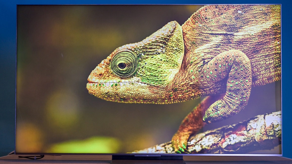 Der TCL C8L deckt einen enormen Farbraum ab und stellt selbst feine Farbnuancen sauber dar. Gerade bei HDR-Inhalten profitiert das Bild von der hohen Farbpräzision.