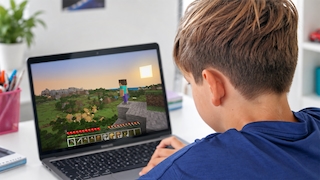 Eine Person sitzt vor einem Laptop und blickt auf den Bildschirm, auf dem das Videospiel Minecraft dargestellt ist. Auf dem Bildschirm ist eine virtuelle Landschaft mit Hügeln, Bäumen, Gebäuden und einer Spielfigur zu sehen. Die Person trägt ein blaues Oberteil und hat die Hände auf der Tastatur des Laptops. Der Laptop steht auf einem Schreibtisch. Links daneben befinden sich ein Stiftebehälter mit verschiedenen Stiften sowie einige Notizblöcke. Im Hintergrund sind unscharf eine Zimmerpflanze und weitere Einrichtungsgegenstände erkennbar.