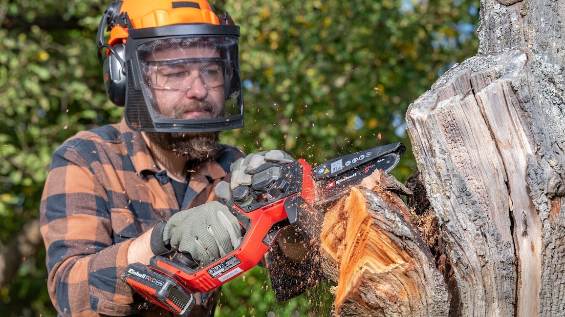 Ein Mann mit Schutzaurüstung sägt an einem dicken Aststumpf an einem trockenen Baum.