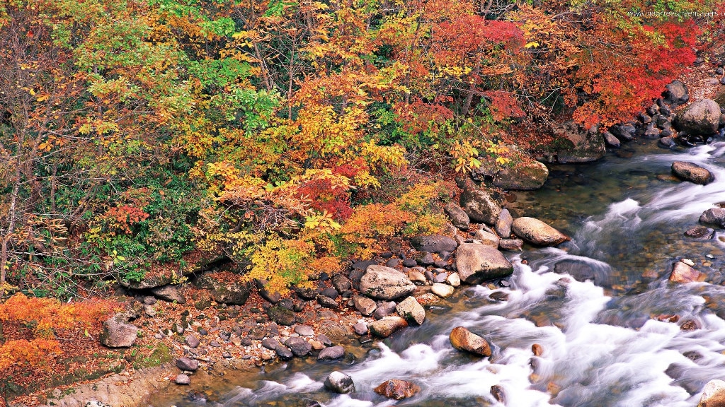 Autumn Mountains River 4