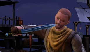 Simulation Die Sims Mittelalter – Piraten und Edelleute: Zahnstocher