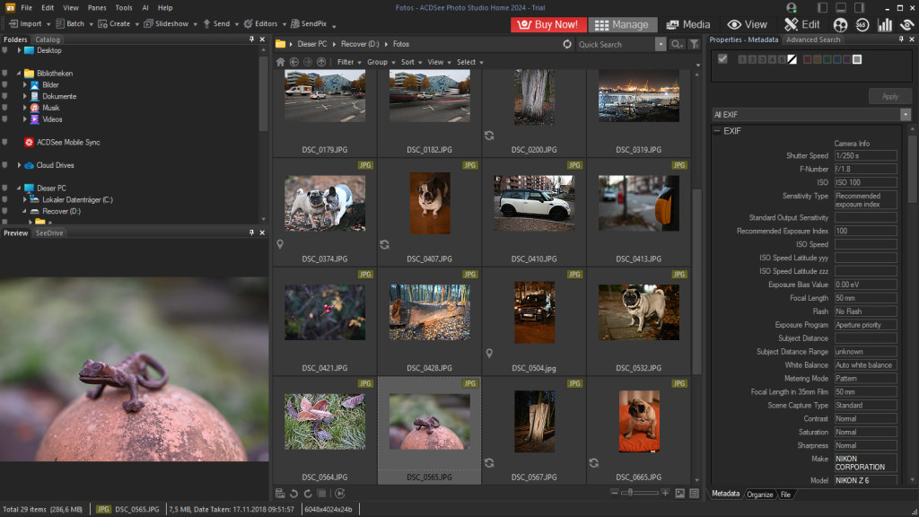 ACDSee Photo Studio Home