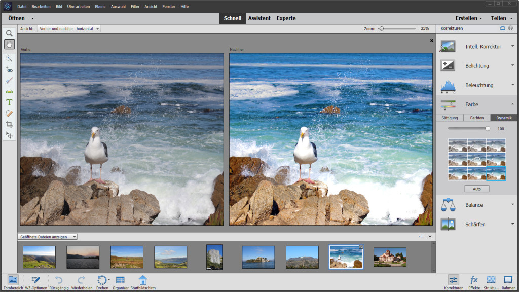 Adobe Photoshop Elements