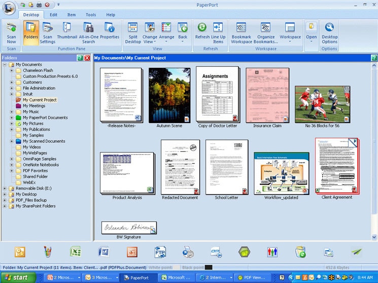 Screenshot DMS-Programm Paperport