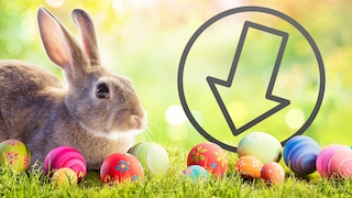 Oster-Downloads: Kostenlose Spiele, Bildschirmschoner, Schriftarten Verschönern Sie sich die Ostertage mit diesen Programmen.