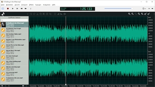 Screenshot aus Ocenaudio