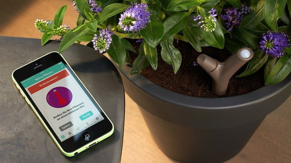 Parrot Flower Power App überwacht Pflanzen COMPUTER BILD