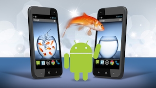 Live-Wallpaper: Erwecken Sie den Androiden zum Leben