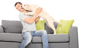 Single frauen und hunde