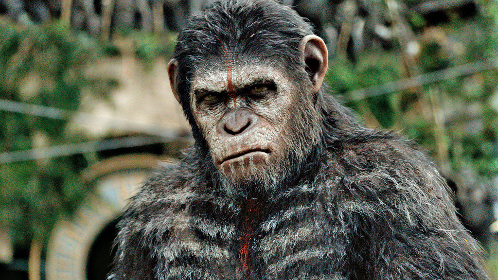 Planet der Affen - Revolution streamen - COMPUTER BILD