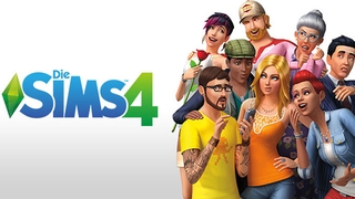 Simulation Sims 4: Gruppe