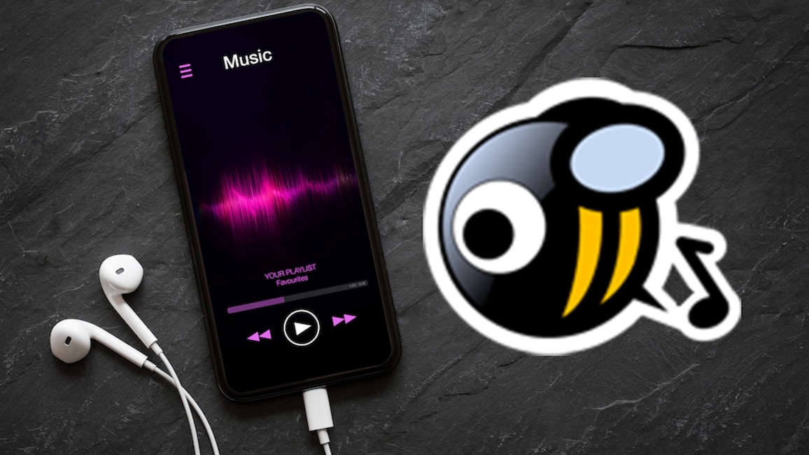 MusicBee Portable