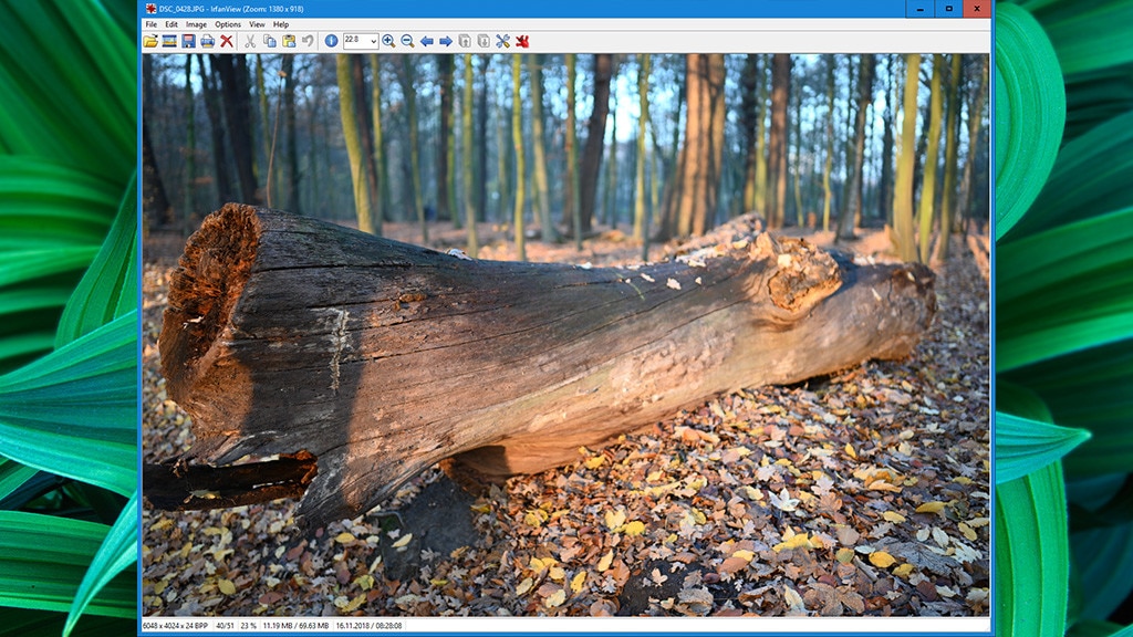 IrfanView: Bilder verwalten, editieren, erstellen