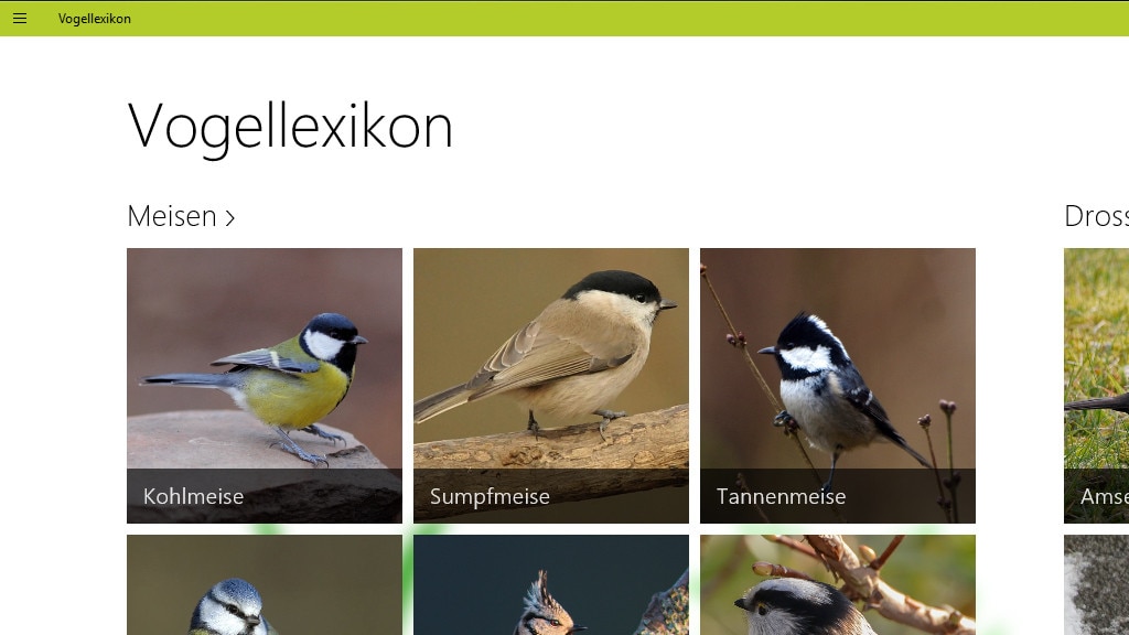 Vogellexikon: Virtuelle Naturexpedition
