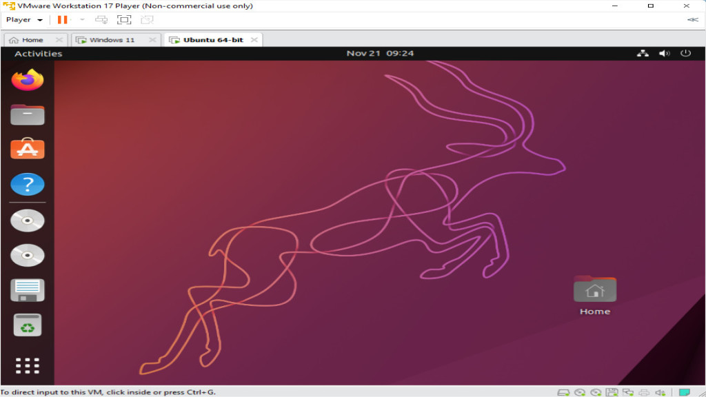 VMware Workstation Player