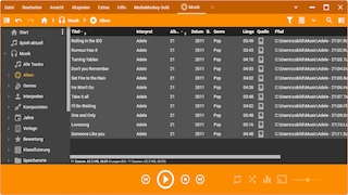 Screenshot aus MediaMonkey