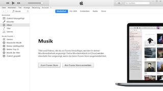 Screenshot aus iTunes