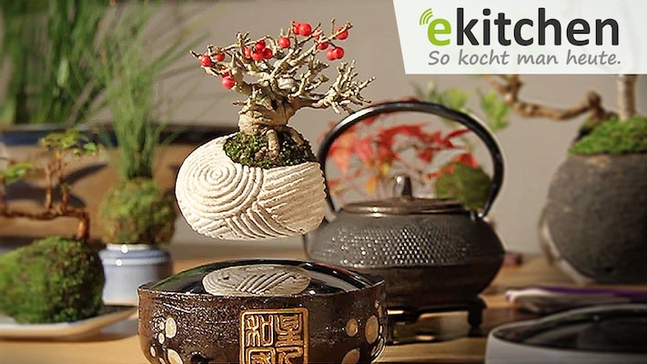 Air Bonsai: Magnetisch schwebende Bumchen - COMPUTER BILD