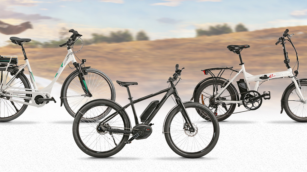 bilder mountainbike lustig Karikatur vom Foto Diamant Rubin Legere: Urbanbike bici olanda donna Größe des Zubehörs:M