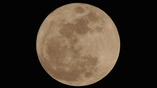 Seltenes Spektakel am Abendhimmel: Am 14. November erstrahlt der Mond über Deutschland größer und heller als gewöhnlich