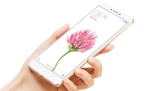 Mit seiner Smartphone-Sparte schreibt der chinesische Hersteller Xiaomi rote Zahlen