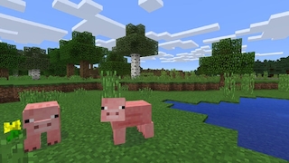 Minecraft: Schweine