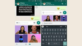 Giphy-Integration in WhatsApp